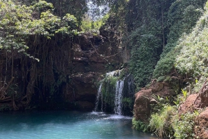 Nairobi : randonnée dans la forêt de Ngare Ndare et Canopy Walk