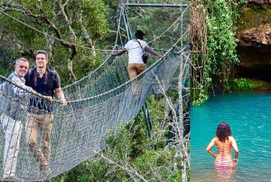 Nairobi : randonnée dans la forêt de Ngare Ndare et Canopy Walk