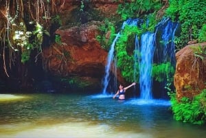 Nairobi : randonnée dans la forêt de Ngare Ndare et Canopy Walk