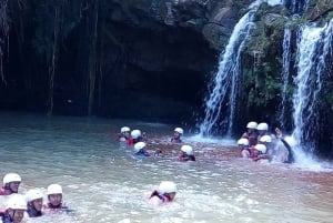Nairobi : randonnée dans la forêt de Ngare Ndare et Canopy Walk