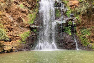 Nairobi : randonnée dans la forêt de Ngare Ndare et Canopy Walk
