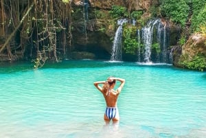 Nairobi : randonnée dans la forêt de Ngare Ndare et Canopy Walk