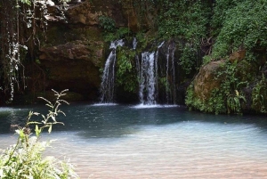 Найроби: Поход по лесу Нгаре Ндаре и Canopy Walk