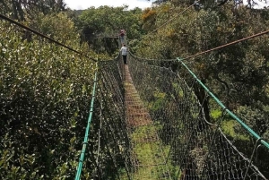 Найроби: Поход по лесу Нгаре Ндаре и Canopy Walk