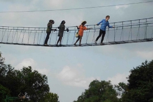 Найроби: Поход по лесу Нгаре Ндаре и Canopy Walk