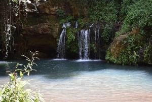 Найроби: Поход по лесу Нгаре Ндаре и Canopy Walk