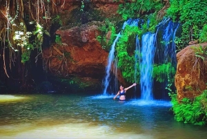 Найроби: Поход по лесу Нгаре Ндаре и Canopy Walk