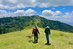 NAIROBI: Dagstur i Ngong Hills, gruppetur
