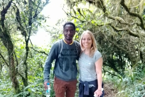 Nairobi: Caminhada guiada pelas colinas de Ngong com tirolesa opcional