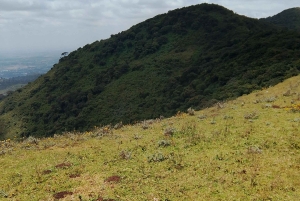 Nairobi: Caminhada guiada pelas colinas de Ngong com tirolesa opcional