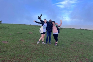 Visite guidée du parc national de Nairobi avec prise en charge gratuite à l'hôtel