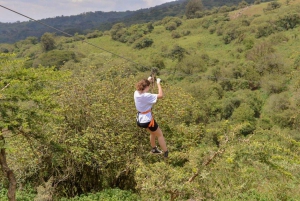 Visite guidée du parc national de Nairobi avec prise en charge gratuite à l'hôtel