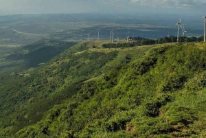 Visite guidée du parc national de Nairobi avec prise en charge gratuite à l'hôtel