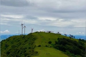 Visite guidée du parc national de Nairobi avec prise en charge gratuite à l'hôtel