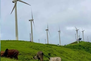 Visite guidée du parc national de Nairobi avec prise en charge gratuite à l'hôtel