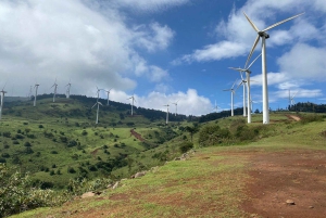 Visite guidée du parc national de Nairobi avec prise en charge gratuite à l'hôtel