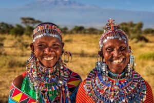 Nairobi: escursione sulle colline di Ngong e gita di 1 giorno in un villaggio Masai