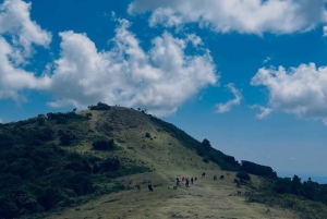 Nairobi: escursione sulle colline di Ngong e gita di 1 giorno in un villaggio Masai