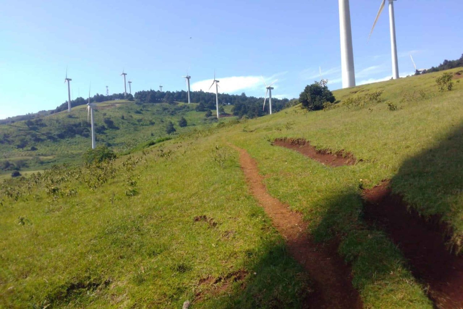 Nairobi: Ngong Hills -vaellus ja köysiliuku