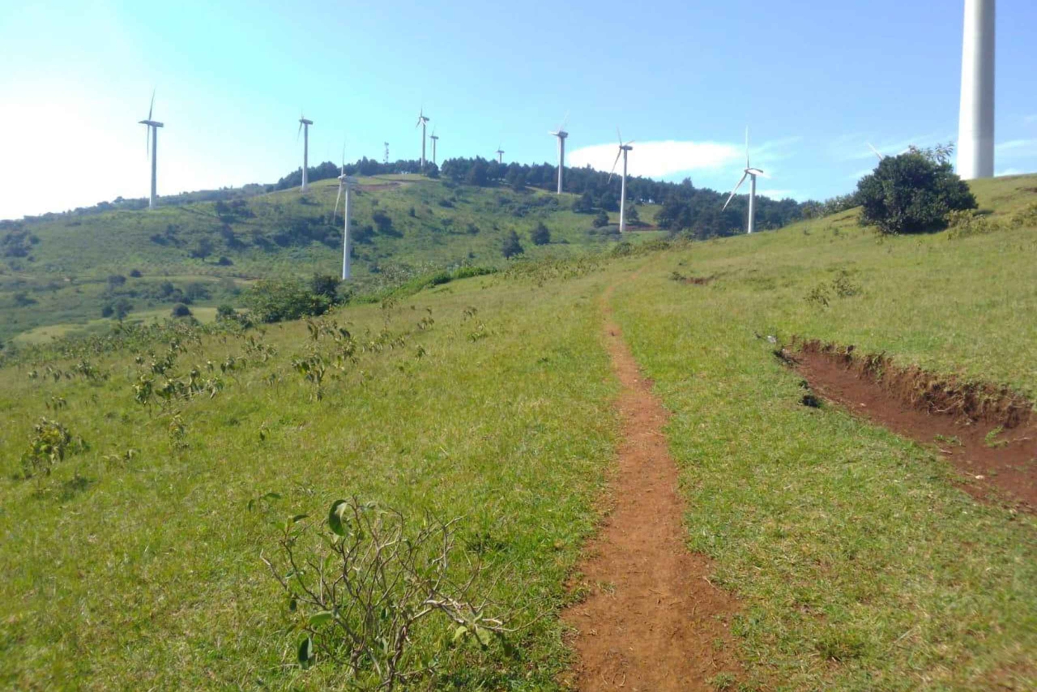 Nairobi: Ngong Hills -vaellus ja köysiliuku
