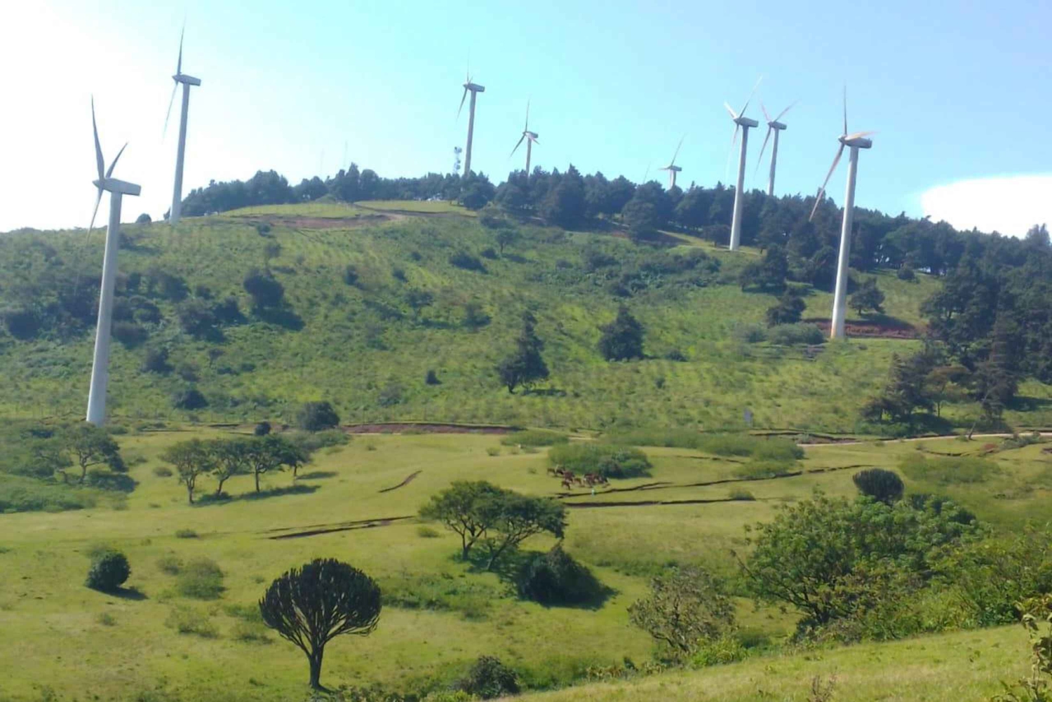 Nairobi: Ngong Hills -vaellus ja köysiliuku