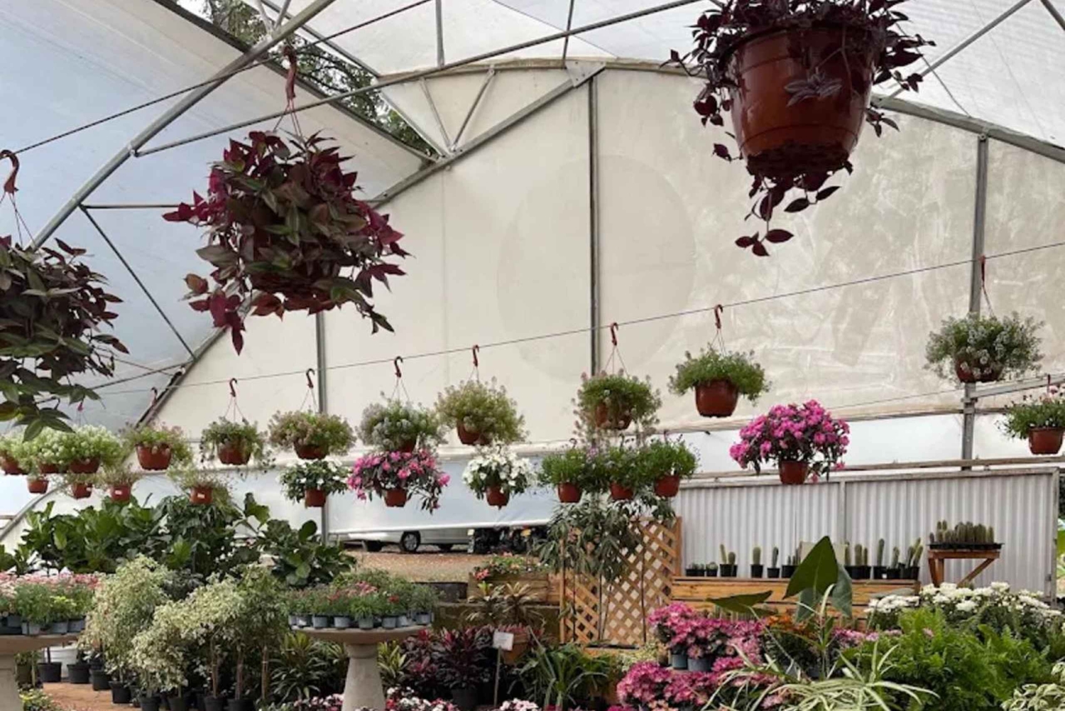 Nairobi: Ngong Road Flower Market Guided Tour