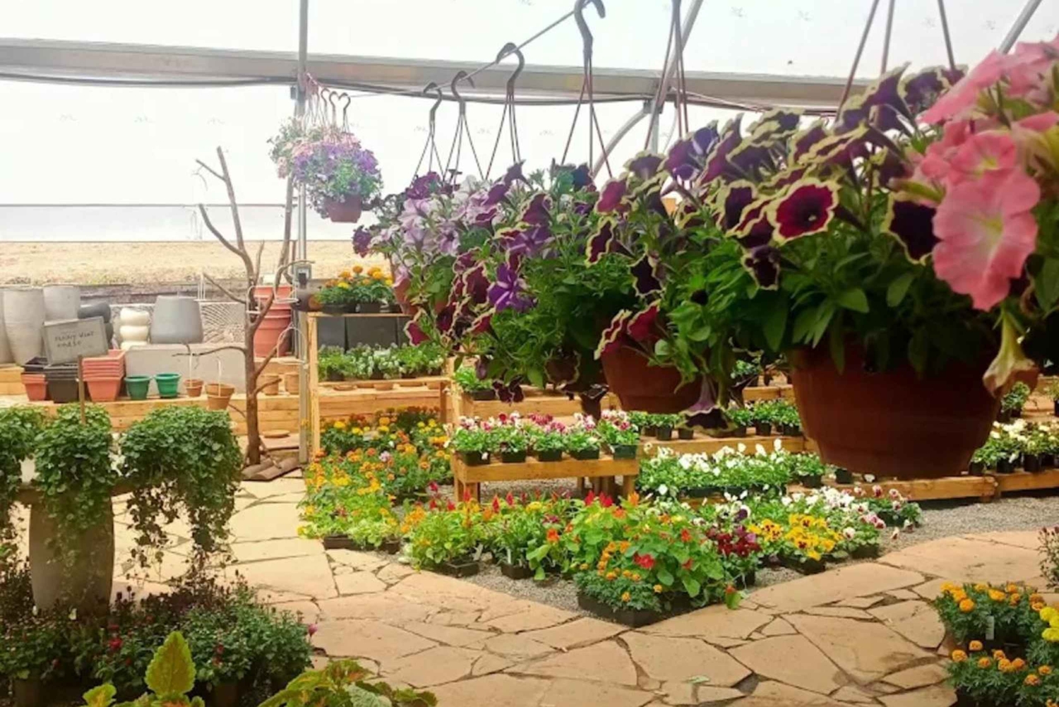 Nairobi: Ngong Road Flower Market Guided Tour