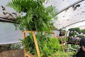 Nairobi: Ngong Road Flower Market Guided Tour