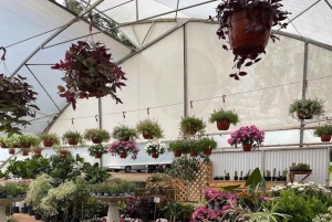 Nairobi: Ngong Road Flower Market Guided Tour