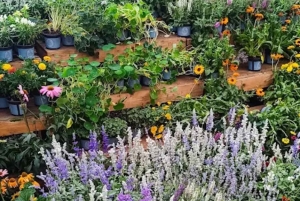 Nairobi: Ngong Road Flower Market Guided Tour