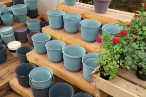 Nairobi: Ngong Road Flower Market Guided Tour