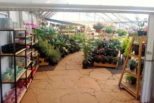 Nairobi: Ngong Road Flower Market Guided Tour