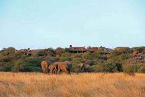 Nairobi: excursión de 1 día al parque nacional Ol Donyo Sabuk