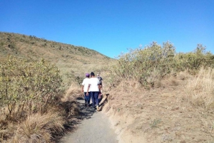 Nairobi : Randonnée guidée dans le parc national d'Ol Donyo Sabuk