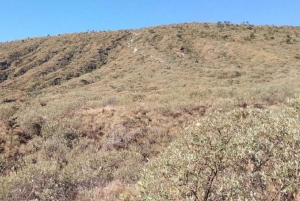 Nairobi : Randonnée guidée dans le parc national d'Ol Donyo Sabuk