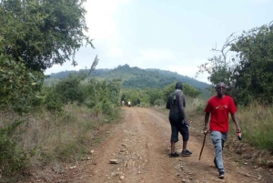 Nairobi : Randonnée guidée dans le parc national d'Ol Donyo Sabuk