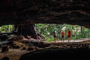 Nairobi: szlak przyrodniczy Ololua i jaskinie Mau Mau z piknikiem
