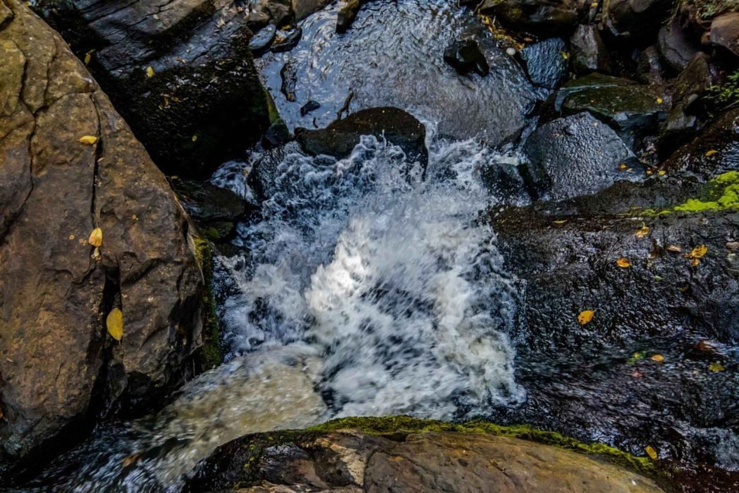 Nairobi: Ololua Ridge & Ngong Forest Guided Hike Tour