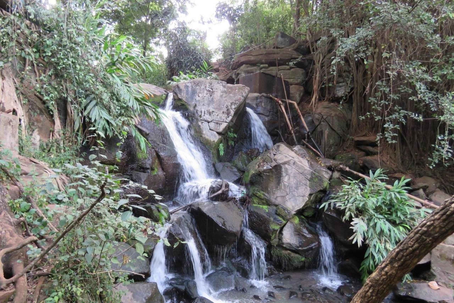 Nairobi: Ololua Ridge & Ngong Forest Guided Hike Tour