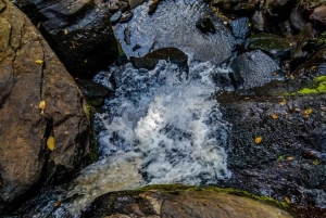 Nairobi: Ololua Ridge & Ngong Forest Guided Hike Tour