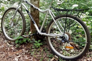 Nairobi: Ololua Ridge & Ngong Forest Guided Hike Tour