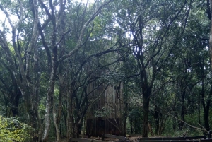 Nairobi: Ololua Ridge & Ngong Forest Guided Hike Tour