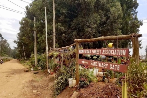 Nairobi: Ololua Ridge & Ngong Forest Guided Hike Tour