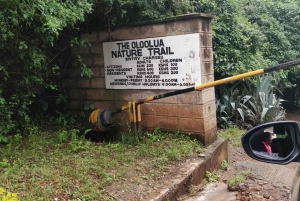 Nairobi: Ololua Ridge & Ngong Forest Guided Hike Tour