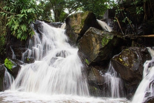 Nairobi: Ololua Ridge & Ngong Forest Guided Hike Tour