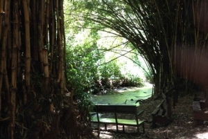 Nairobi: Ololua Ridge & Ngong Forest Guided Hike Tour