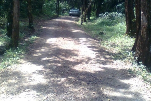 Nairobi: Ololua Ridge & Ngong Forest Guided Hike Tour