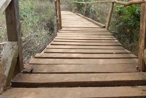 Nairobi: Ololua Ridge & Ngong Forest Guided Hike Tour