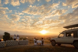 Nairobi eller Mombasa: 2-dages Salt Lick Safari Lodge-tur