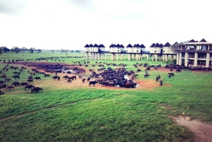 Nairobi eller Mombasa: 2-dages Salt Lick Safari Lodge-tur